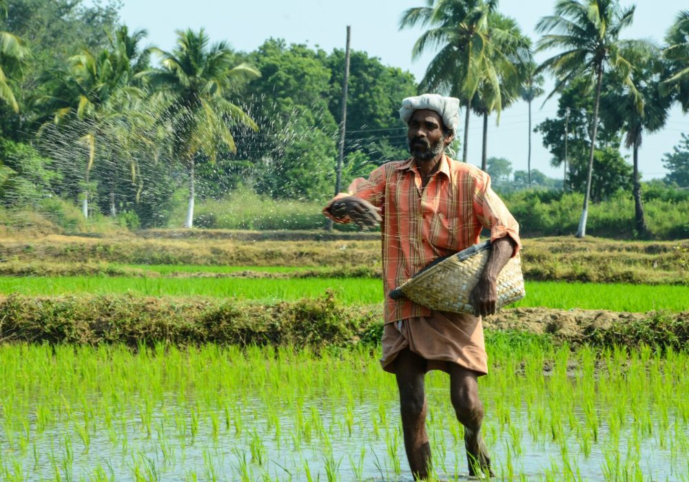 Food-Security