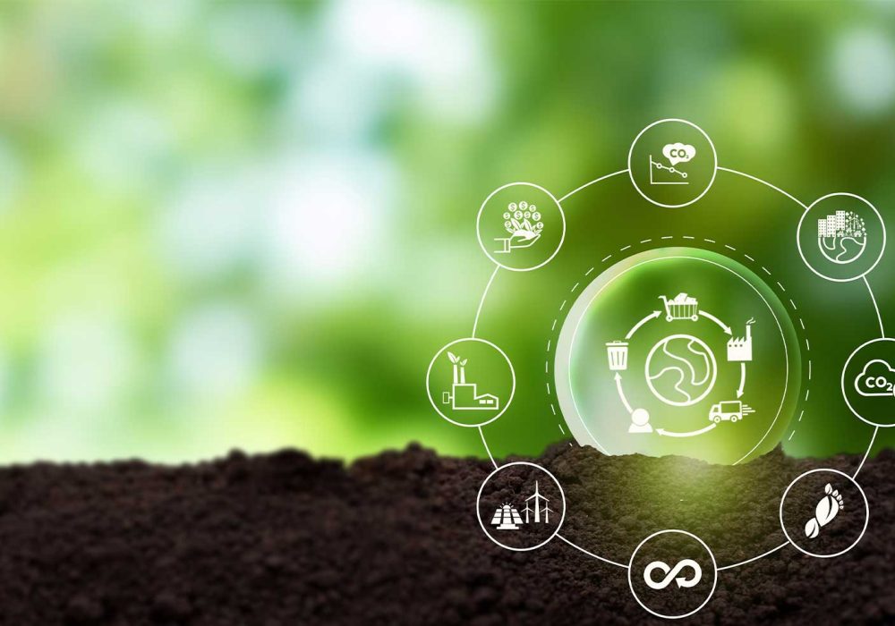 supply-chain-sustainability
